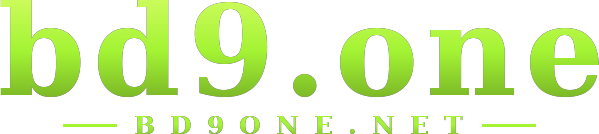 bd9.one logo